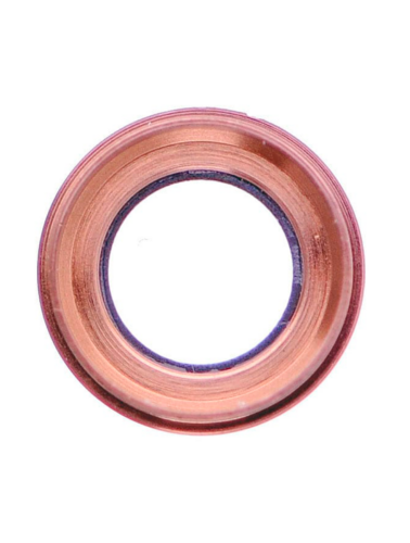 Back Camera Lens For iPhone 6 Plus / 6S Plus (Real Sapphire) (Premium) (Rose Gold) (10 Pack) – Image 5