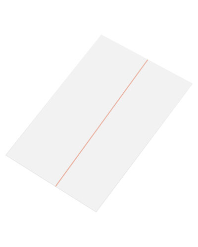 Film polarisant pour iPad Pro 11" 1re génération (2018) / Pro 11" 2e génération (2020) (Lot de 10) – Image 3