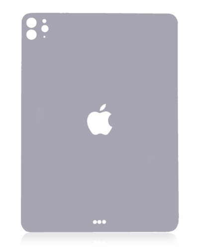 Back Skin For iPad Pro 11" 4th Gen (2022) (Space Gray)