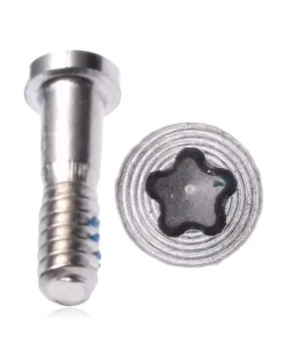 Bottom Screws For iPhone 5 (Silver) (100 Pack)