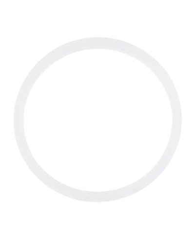 Back Camera Lens O-Ring Gasket For iPhone 8 / SE (2020) / SE (2022) (100 Pack)