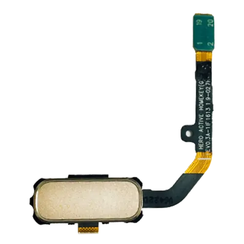 Home Button Flex Cable For Samsung Galaxy S7 Active (Sandy Gold)