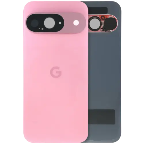 Back Cover Glass With Camera Lens For Google Pixel 9 (Used OEM Pull: Grade A) (Peony)